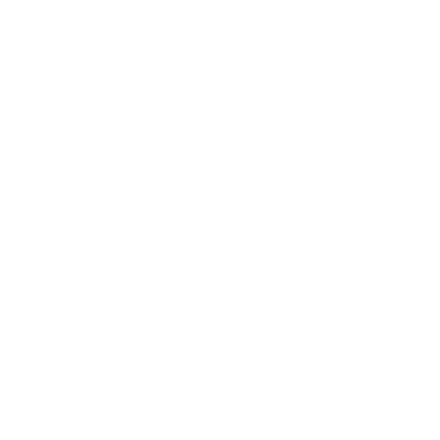 white google icon.png